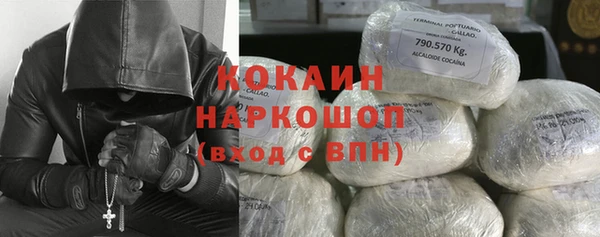 мет Няндома
