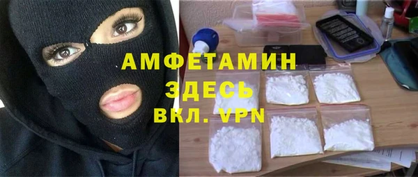 гашик Алексеевка